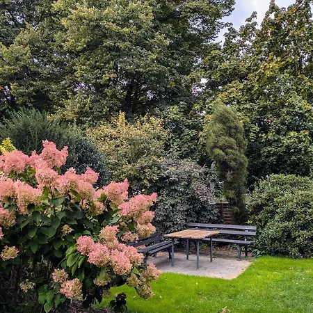 In Minden-nordstadt 公寓 *